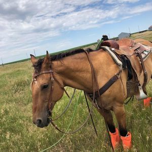 Meet your Posher, Levi